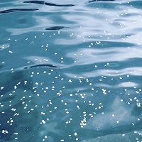 wwd2017 I'm water action